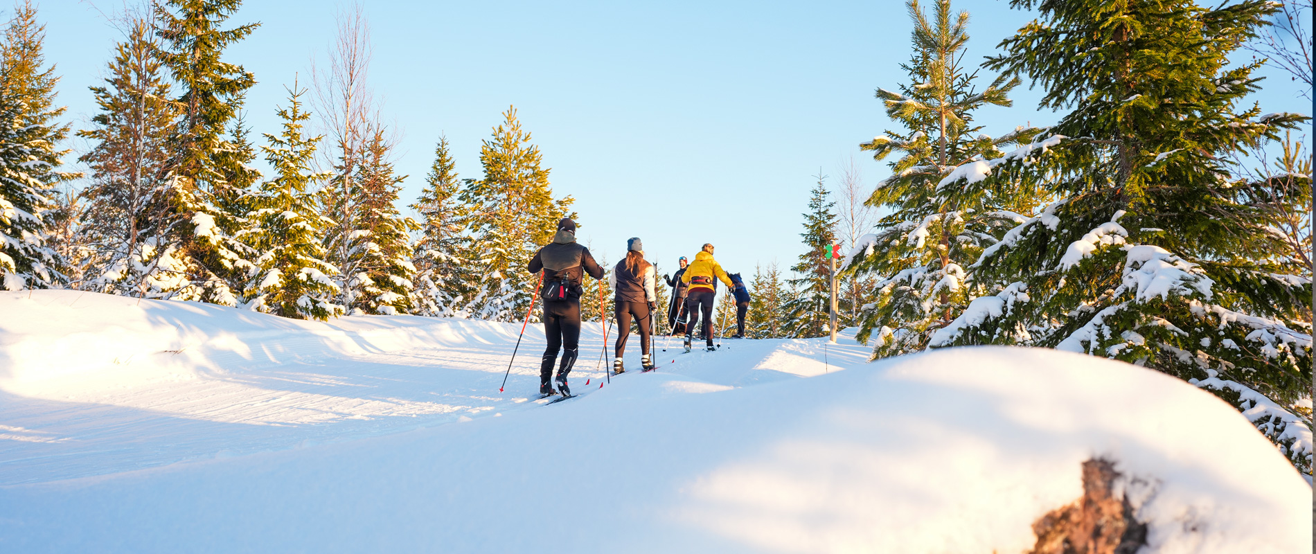 Längdskidåkning vid Hassela Ski Resort i vinterskrud